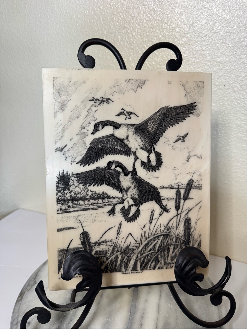 Decorative Marble or Stone Etching Titled “Majestic Touchdown”